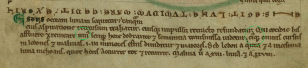 bottom-walters-f8v